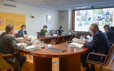 Catorce países apoyan la iniciativa de Planas de fondos adicionales urgentes a la UE ante la crisis del sector vitivinícola