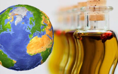 El consumo mundial de aceite de oliva ha aumentado un 91,1% desde 1990