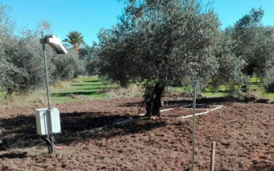 Corrientes eléctricas para medir la humedad del suelo del olivar
