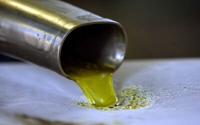 Febrero constata la bajada de producción pero con un buen ritmo de salidas de aceite de oliva