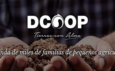 Dcoop abre tienda propia en Amazon