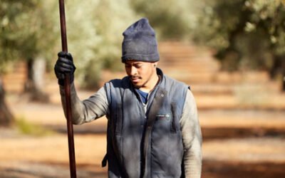 La DOP Montes de Toledo finaliza su campaña con 18.000 t. de aceituna por el impacto de la pandemia y la borrasca Filomena