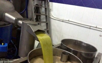 Las salidas de aceite de oliva al mercado habrían superado las 145.000 t en febrero