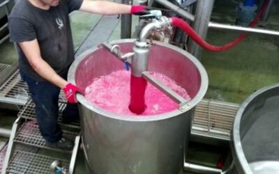 MAPA y sector tratarán de impulsar la norma de autorregulación de la oferta de vino en la nueva campaña 2021/22