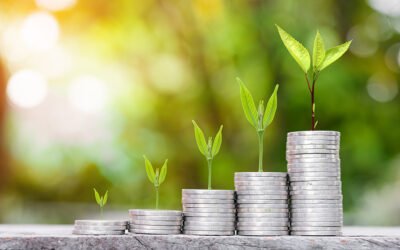 Ampliación de capital de 1 millón de euros para la startup Elaisian