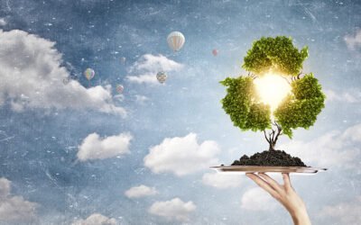 ENVASE 4.0: nuevos envases para alargar la vida de los alimentos, que garanticen la seguridad alimentaria y sostenibles