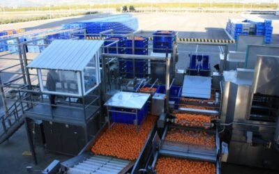 Andalucía concentra el 40% de todas las ayudas UE a los programas operativos de las OPFH en España