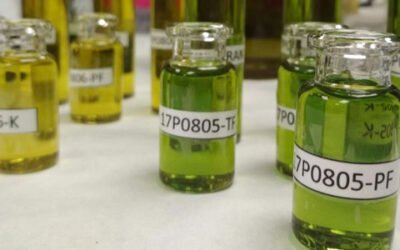 Crean un sistema para verificar el origen del aceite de oliva