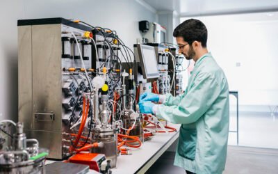 Estudian el uso de nuevos bioestimulantes para aumentar la resistencia del olivo