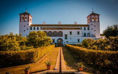 El compromiso con la divulgación y el legado cultural del olivar en Andalucía