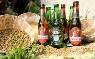 Biomasa del olivar jiennense para la elaboración de cerveza