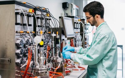 Estudian emplear proteínas de bacteriófagos para el control de la Xylella fastidiosa en el olivo