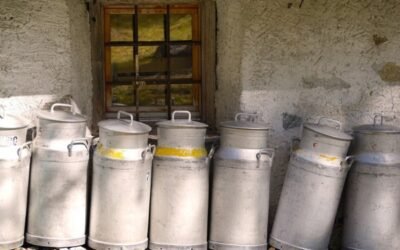 OPAs y Cooperativas denuncian la crítica situación de los ganaderos productores de leche en España