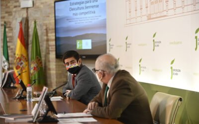 Estrategias para una oleicultura jiennense más competitiva