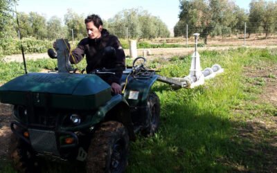 Uso de la electricidad para conocer la cantidad de agua del suelo en el cultivo del olivar con mayor precisión
