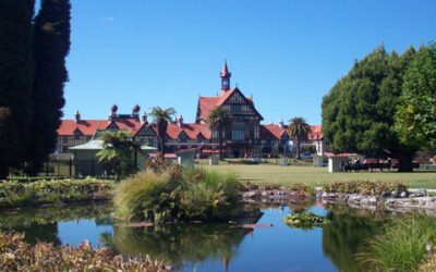 Aumenta la popularidad del AOVE en Nueva Zelanda