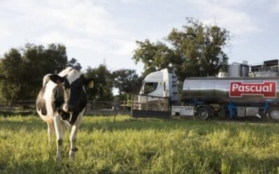 Pascual renueva su certificación en bienestar animal