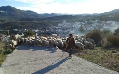 8-M: las explotaciones agrarias con titularidad compartida en el Reticom se elevan ya a 777 hasta 1 de marzo