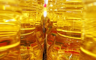 El Gobierno permite el envasado del AOVE en PET