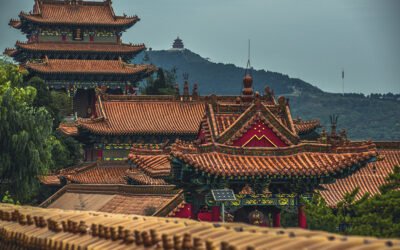 España principal proveedor de aceite de oliva de China durante la última campaña