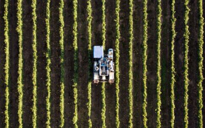 Asignación de  los nuevos derechos de la Reserva Nacional de Pago Básico