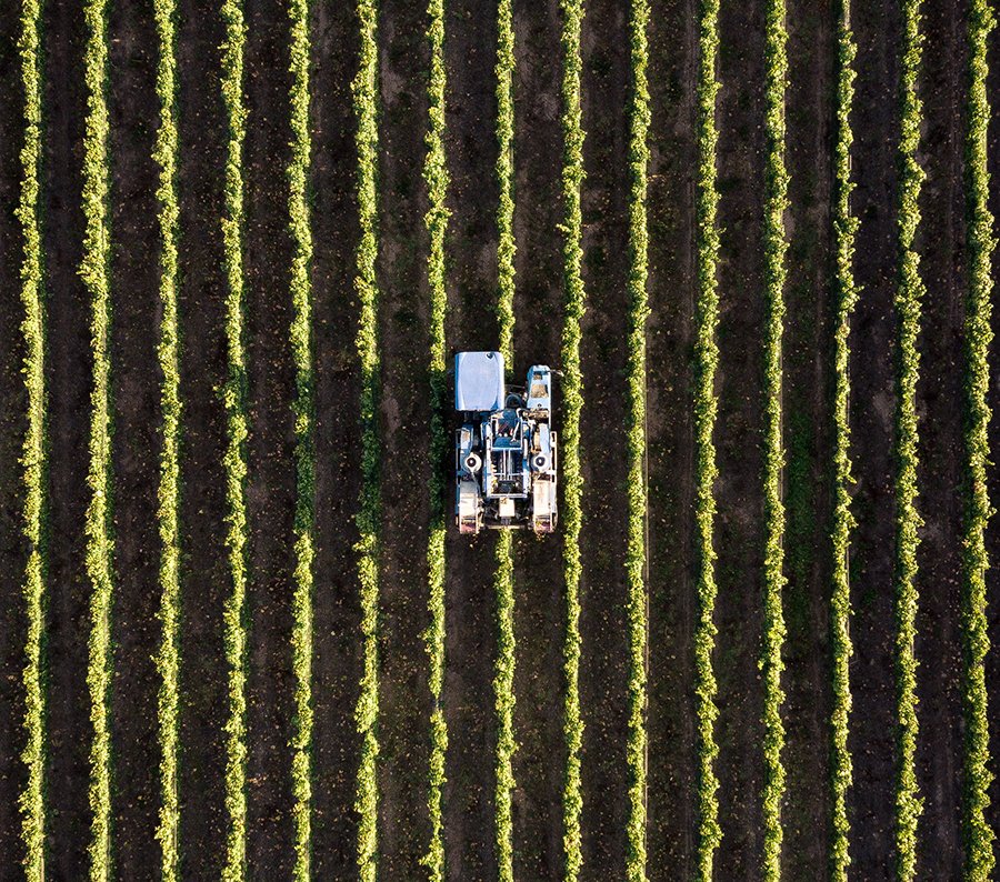 Asignación de los nuevos derechos de la Reserva Nacional de Pago Básico