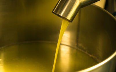 La UE estima que la producción de aceite de oliva para la presente campaña podría alcanzar 2,1 millones de toneladas