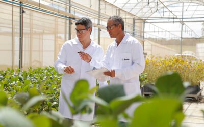 Nuevas inversiones de BASF en innovación para una agricultura sostenible