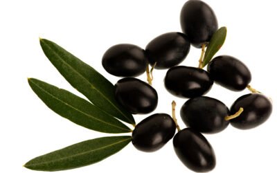 Principales retos del sector de la aceituna de mesa