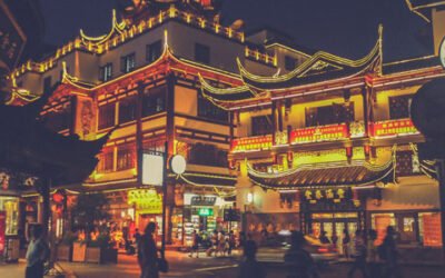 Récord de las importaciones chinas de aceite de oliva con 55.580 t. en la última campaña