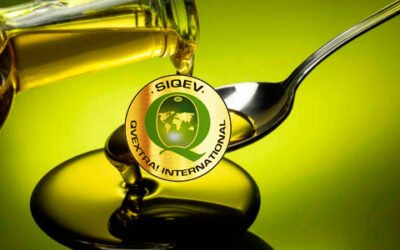 QvExtra! Internacional renueva su Junta Directiva