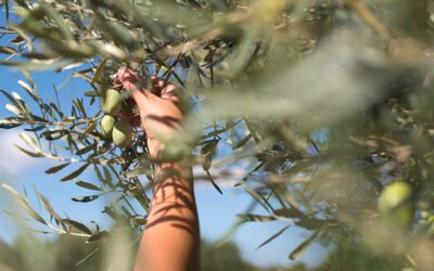 Homenaje a los hombres y mujeres del Campo
