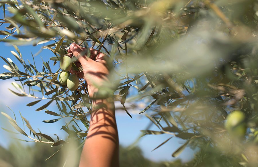 Homenaje a los hombres y mujeres del Campo