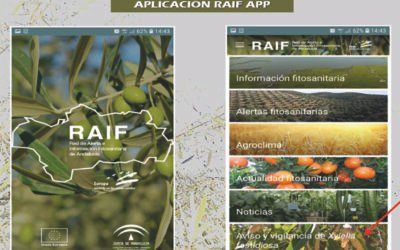 Una APP para la vigilancia de la xylella fastidiosa