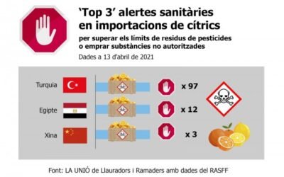 Turquía y Egipto copan las alertas sanitarias en la UE por los cítricos importados desde esos orígenes
