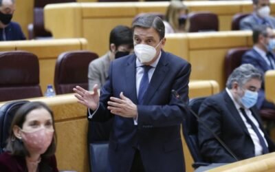 Planas apuesta por un plan de lucha integral contra el “cotenet” en cítricos y rechaza el uso del “metil-clorpirifos”