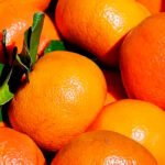 El abogado general de la UE quiere que un español pague por cultivar mandarinas marroquíes propiedad de la famalia real alauita