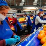 La cadena de valor de gran consumo reclama su carácter esencial en el plan de vacunación con un acceso prioritario