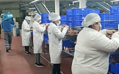 Ayudas de 40 M€ del PNDR para impulsar a las Entidades Asociativas Prioritarias (EAP) supraautonómicas