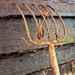 Críticas al Gobierno: La subida del paro en la agricultura es «la demostración del maltrato del Gobierno a las políticas agrarias»