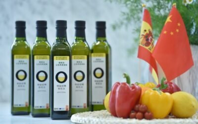 Bruselas prevé ya un stock final de aceite de oliva 2020/21 en la UE inferior al medio millón de toneladas