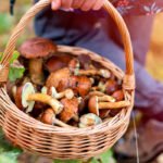 ENTREVISTA. Fetruse: “La Asociación de Recolectores Profesionales es el último eslabón para cerrar el ciclo de la recolección”