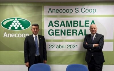 Anecoop obtiene una facturación récord de 770,5 M€ con menor volumen comercializado