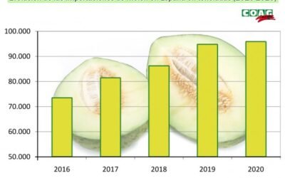 COAG detecta un nuevo fraude en el etiquetado de melones
