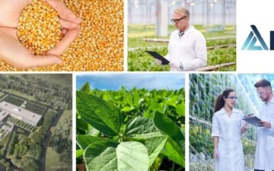 ICL adquiere el negocio de nutrición vegetal de Compass Minerals en América Latina