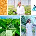 ICL compra el negocio sudamericano de nutrición vegetal de Compass Minerals y le convierte en líder de especialidad en Brasil