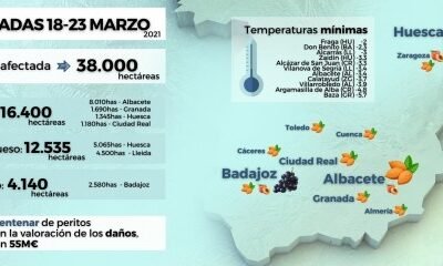 Las heladas causaron daños en cerca de 38.000 ha de cultivos agrícolas asegurados durante el puente de San José