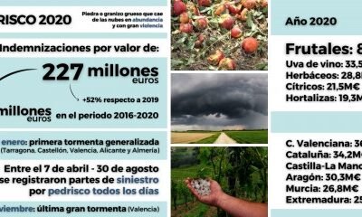 El pedrisco fue la “estrella” de la siniestralidad en el campo en 2020