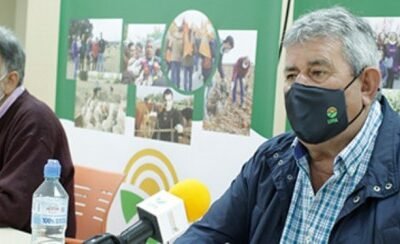 UPA pide ayudas para eliminar del mercado unos 8 Mhl de vino de la campaña 2020/21