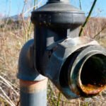 Estudian demandar de forma colectiva a la CH Guadalquivir por las pérdidas en los cultivos debido a la falta de riego